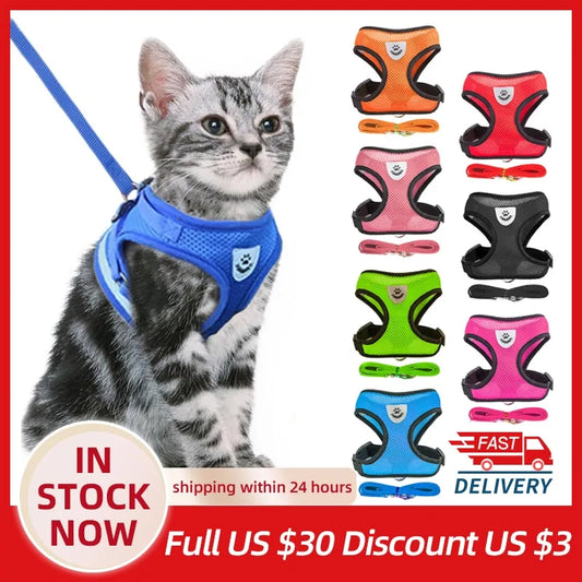 Pet Harness